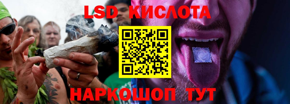 МЕФ Электрогорск