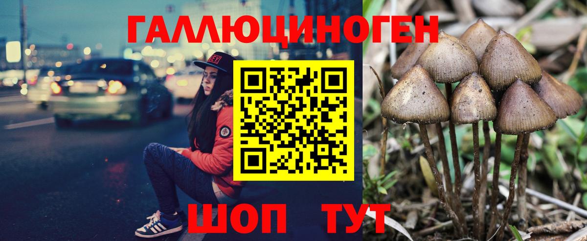 Галлюциногенные грибы Magic Shrooms Электрогорск